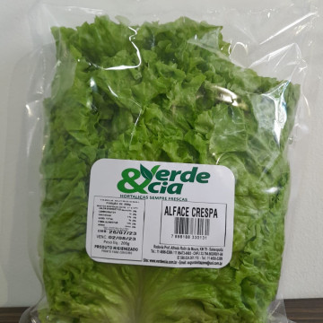 ALFACE CRESPA HIGIENIZADA