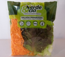 SALADA PRIMAVERA