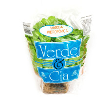 Alface Mimosa Hidropônica