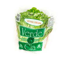 Alface Crespa